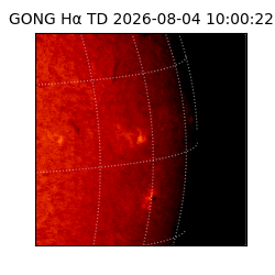 gong - 2026-08-04T10:00:22