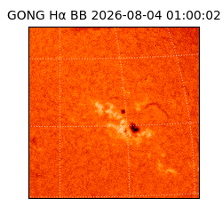 gong - 2026-08-04T01:00:02