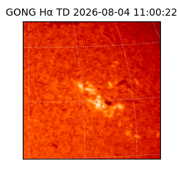 gong - 2026-08-04T11:00:22
