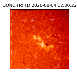 gong - 2026-08-04T12:00:22