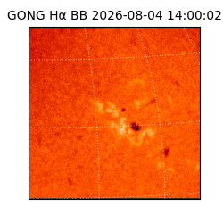 gong - 2026-08-04T14:00:02