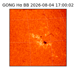 gong - 2026-08-04T17:00:02