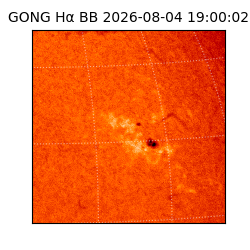 gong - 2026-08-04T19:00:02