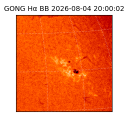 gong - 2026-08-04T20:00:02