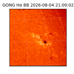 gong - 2026-08-04T21:00:02