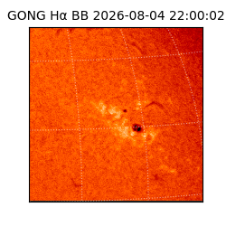 gong - 2026-08-04T22:00:02