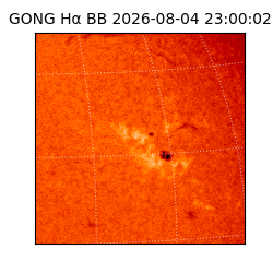 gong - 2026-08-04T23:00:02