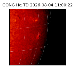 gong - 2026-08-04T11:00:22