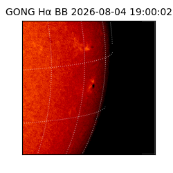gong - 2026-08-04T19:00:02