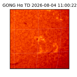 gong - 2026-08-04T11:00:22