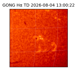 gong - 2026-08-04T13:00:22