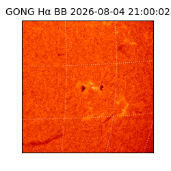 gong - 2026-08-04T21:00:02
