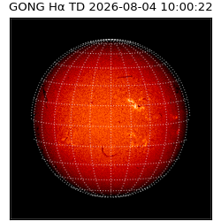 gong - 2026-08-04T10:00:22