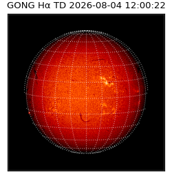 gong - 2026-08-04T12:00:22