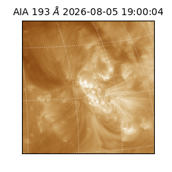 saia - 2026-08-05T19:00:04.842000