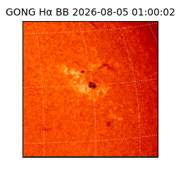 gong - 2026-08-05T01:00:02