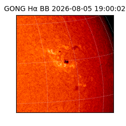 gong - 2026-08-05T19:00:02
