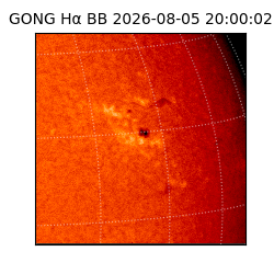 gong - 2026-08-05T20:00:02