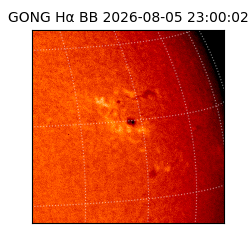 gong - 2026-08-05T23:00:02