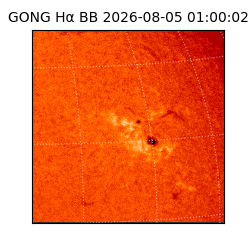 gong - 2026-08-05T01:00:02