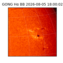 gong - 2026-08-05T18:00:02