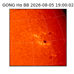 gong - 2026-08-05T19:00:02