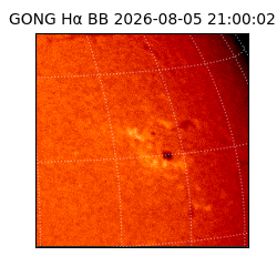 gong - 2026-08-05T21:00:02