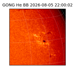 gong - 2026-08-05T22:00:02