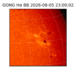gong - 2026-08-05T23:00:02