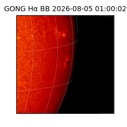 gong - 2026-08-05T01:00:02