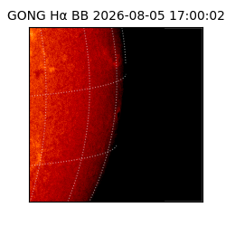 gong - 2026-08-05T17:00:02