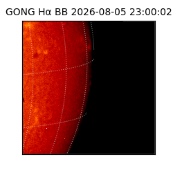 gong - 2026-08-05T23:00:02
