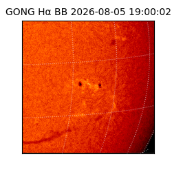 gong - 2026-08-05T19:00:02