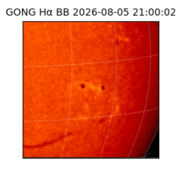 gong - 2026-08-05T21:00:02