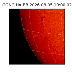 gong - 2026-08-05T19:00:02