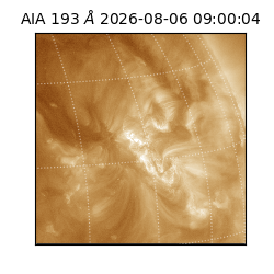 saia - 2026-08-06T09:00:04.840000