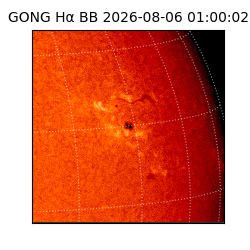 gong - 2026-08-06T01:00:02