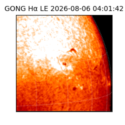 gong - 2026-08-06T04:01:42