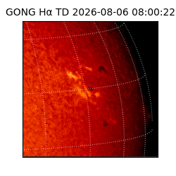 gong - 2026-08-06T08:00:22