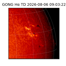 gong - 2026-08-06T09:03:22