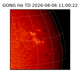 gong - 2026-08-06T11:00:22