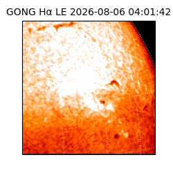 gong - 2026-08-06T04:01:42
