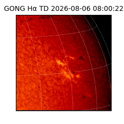 gong - 2026-08-06T08:00:22