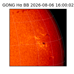 gong - 2026-08-06T16:00:02