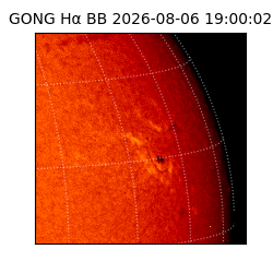 gong - 2026-08-06T19:00:02