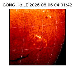 gong - 2026-08-06T04:01:42