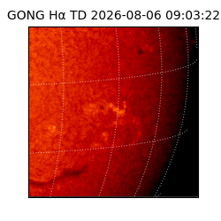 gong - 2026-08-06T09:03:22