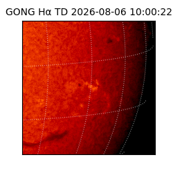 gong - 2026-08-06T10:00:22
