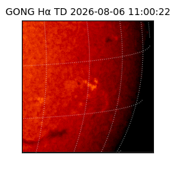 gong - 2026-08-06T11:00:22