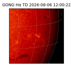 gong - 2026-08-06T12:00:22